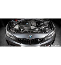 V2 BMW F87 M2, F2X M135i, M235i, F3X 335i, 435i Carbon intake