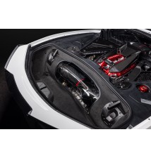 C8 Z06 Coupe Carbon Intake