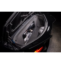 C8 Z06 Coupe Carbon Intake