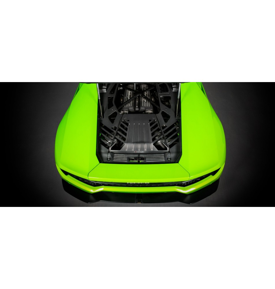 Lamborghini Huracan Carbon Engine Cover Set Matte Finish
