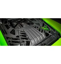 Lamborghini Huracan Carbon Engine Cover Set Matte Finish