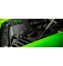 Lamborghini Huracan Carbon Engine Cover Set Matte Finish
