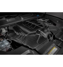 Lamborghini Urus Intake System