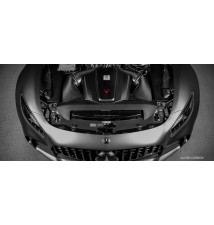 Mercedes C190/R190 AMG GTR, GTS, GT GLOSS Finish