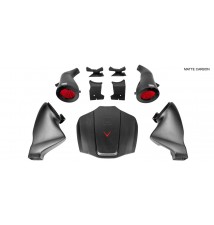 Mercedes C190/R190 AMG GTR, GTS, GT MATTE Finish