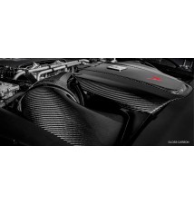 Mercedes C190/R190 AMG GTR, GTS, GT MATTE Finish