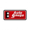 AUTO GAUGE